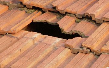 roof repair Withern, Lincolnshire