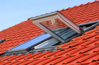 Withern roof window